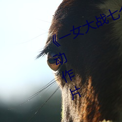 《一女大戰七個黑人到噴漿》完整版動作片