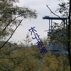 长(長)宁帝军(軍)