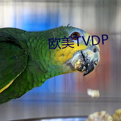 欧美TVDP