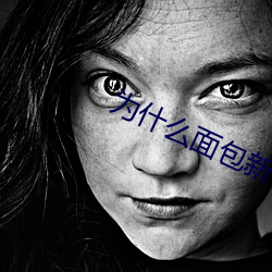 为什么面包新语这样取名