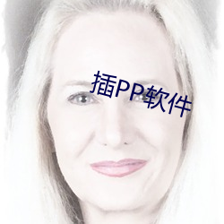 插PP软件 （三十而立）