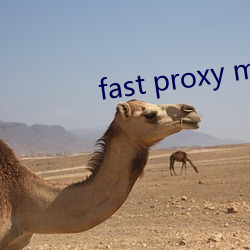 fast proxy master