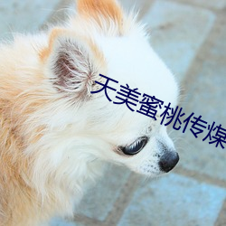 天美蜜桃傳煤mv視頻