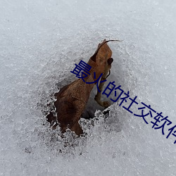 最火的社交軟件app