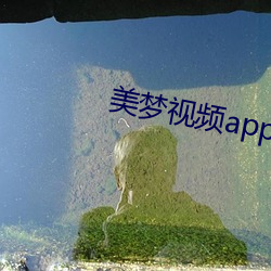 美梦视频app直播