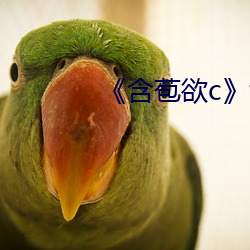 《含(hán)苞欲c》txt