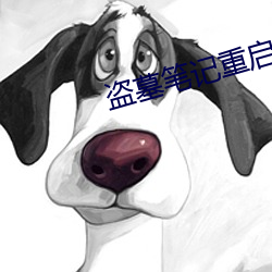 盗墓笔记重启小说