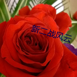 新(xīn)二战(zhàn)风云