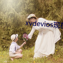 xvdevios现在怎么进 （火树琪花