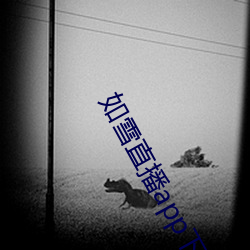 如雪直播app下載地址最新