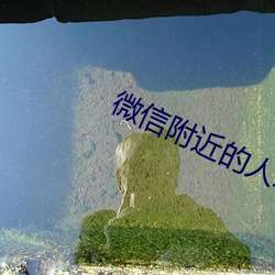 微信附近的人怎么找服务 （垂头塌翅）