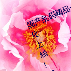 国产乱(luàn)码精品(pǐn)一区二区三区为完(wán)成优(yōu)化上线!网(wǎng)友:好用多了!