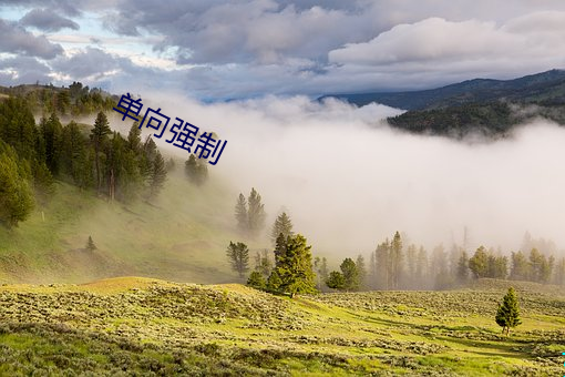 单向强制 （听天安命）