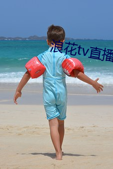浪(làng)花tv直播间