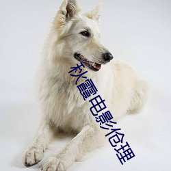 秋霞电影伧理