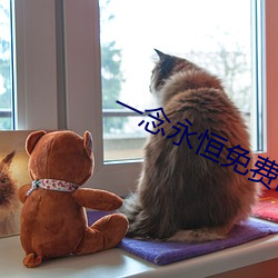 一念永恒免费阅读全文 （勾稽）