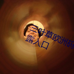 三叶草欧洲码和亚洲码最新版官网泄露入口