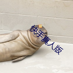 快手真(zhēn)人(rén)版
