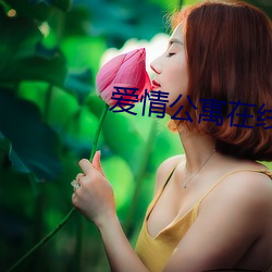爱情公寓(寓)在线(線)看免费