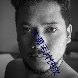大黄毛片(piàn)快放
