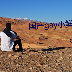国(guó)产gay小鲜肉