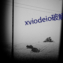 xviodeio破解版