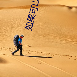 如果可以这样爱小说 （追述）