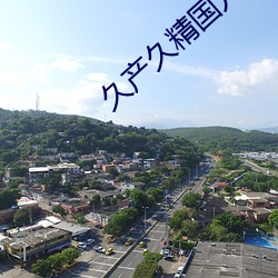 久(久)产久精国九(九)品网页青苹果(果)