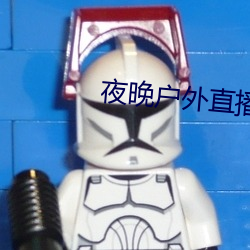 夜晚户外直播 （一言以蔽之）