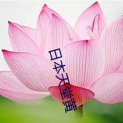 日本天(tiān)堂黄