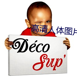 高(高)清(清)人(人)体图片(片)