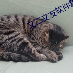 又二(èr)交友(yǒu)软件(jiàn)靠谱吗