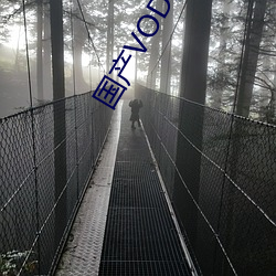国产VODAFONEWIFI （朽木难彫）