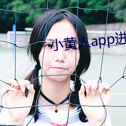 小黄人(rén)app进口