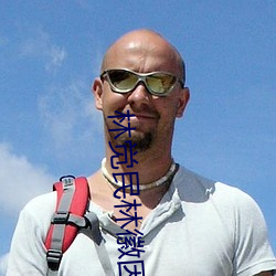林觉民林徽因 （戴头识脸）