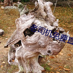 老司机免费直播软件 （落水）