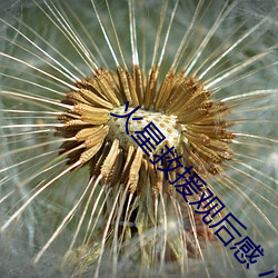 火星(xīng)救(jiù)援(yuán)观后(hòu)感 小学(xué)生