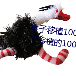 桃子移植100款黄油游戏手游(桃子移植的1000款黄油游戏) （前赴后继）