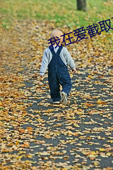 我在(zài)爱截(jié)取(qǔ)了一(yī)段(duàn)小视频(pín)