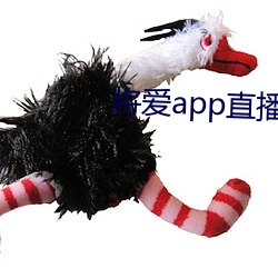 將愛app直播下載2021