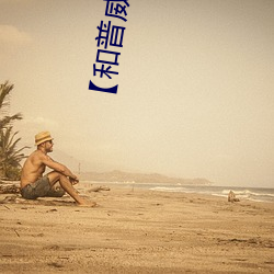 【和普威视高(gāo)清激光夜视高速(sù)球(qiú)HP