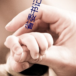 省委書記小說
