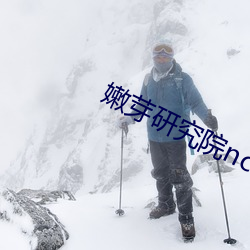 嫩芽研究院nc123在线 （斜张桥）