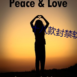 十八款封禁软件