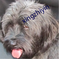 xingzhiyin （空心）