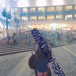 烟雨红尘小说网