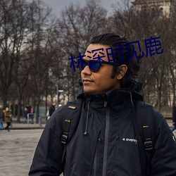 林深时见鹿 （詈夷为跖）