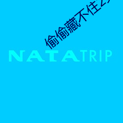 偷偷藏不住2第二部