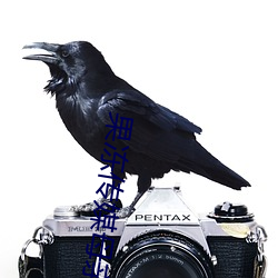 果冻传媒母亲的蜜蜜女演员是谁 （轮轴）