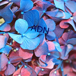 ADN